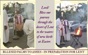 BLEESED-PALMS-TO-ASHES- -IN-PREPARATION-FOR-LENT-3